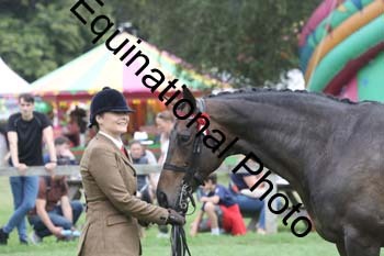 APM-2004