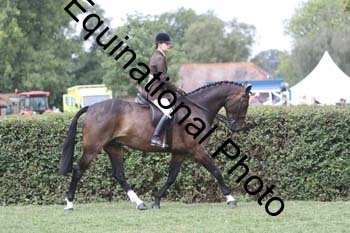 APM-2410