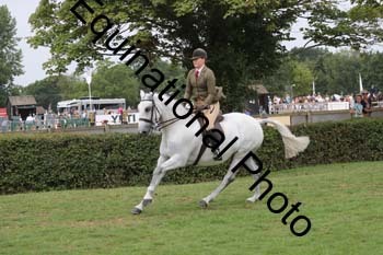 APM-2509