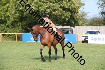 APM-4541