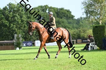 JUT-1083