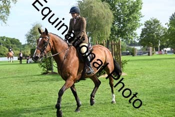 JUT-1091