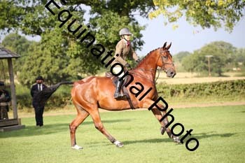 JUT-1295