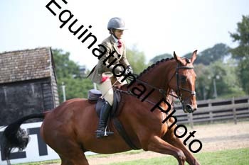 JUT-1300