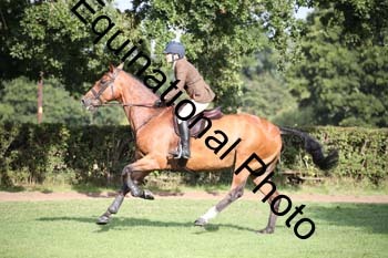 JUT-1308