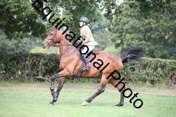 JUT-1391