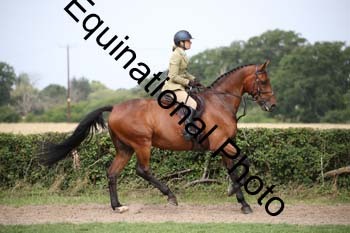 JUT-1445