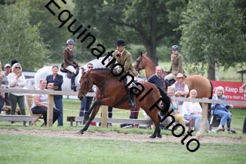 JUT-1480