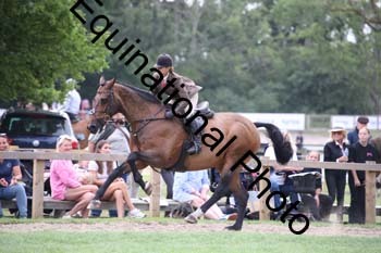 JUT-1498