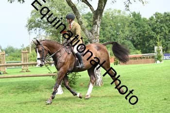 JUT-1730