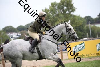 JUT-1804