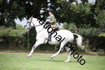 JUT-1905