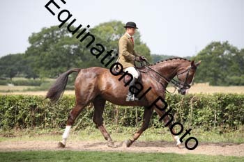 JUT-1945