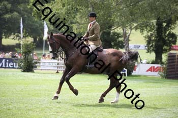 JUT-1966