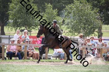 JUT-2008