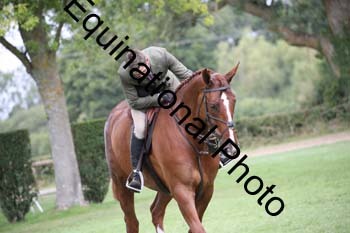 JUT-2083