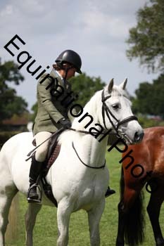 JUT-2434