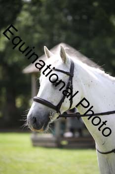 JUT-2509