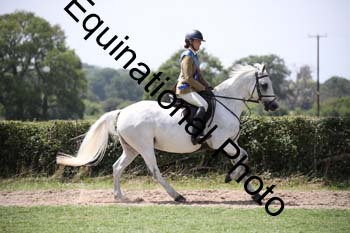 JUT-2598
