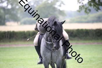 JUT-2989