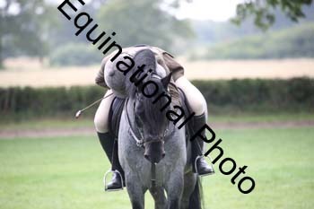 JUT-2992