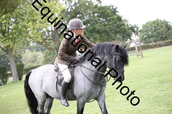 JUT-3000