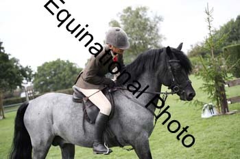 JUT-3002
