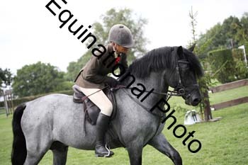 JUT-3003