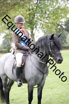 JUT-3016