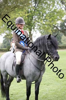 JUT-3017