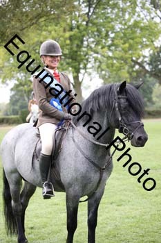 JUT-3018