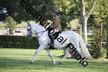 JUT-3991