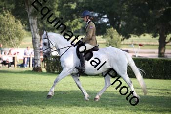 JUT-3992
