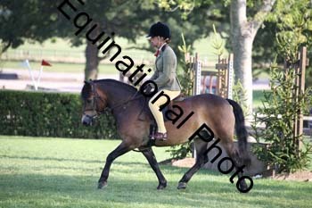 JUT-3999
