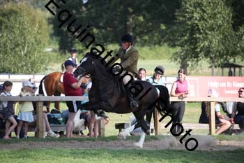 JUT-4037