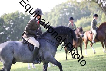 JUT-4061
