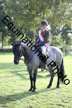 JUT-4085