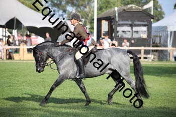 JUT-4119