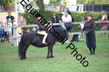 BBC-1046