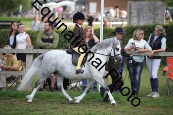 BBC-1103