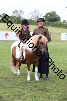 BBC-1335