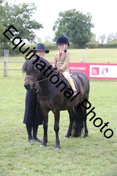 BBC-1352