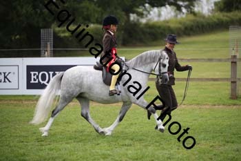 BBC-1585