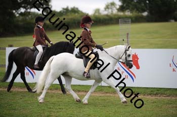 BBC-1637