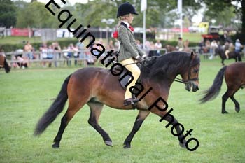 BBC-1784