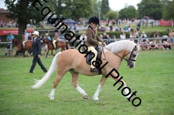 BBC-1786