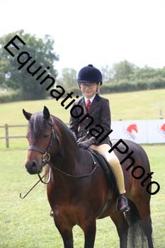 BBC-2031