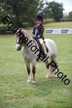 BBC-2330