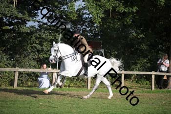 UCL-1215