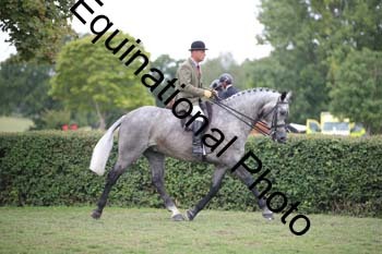 UCL-1651